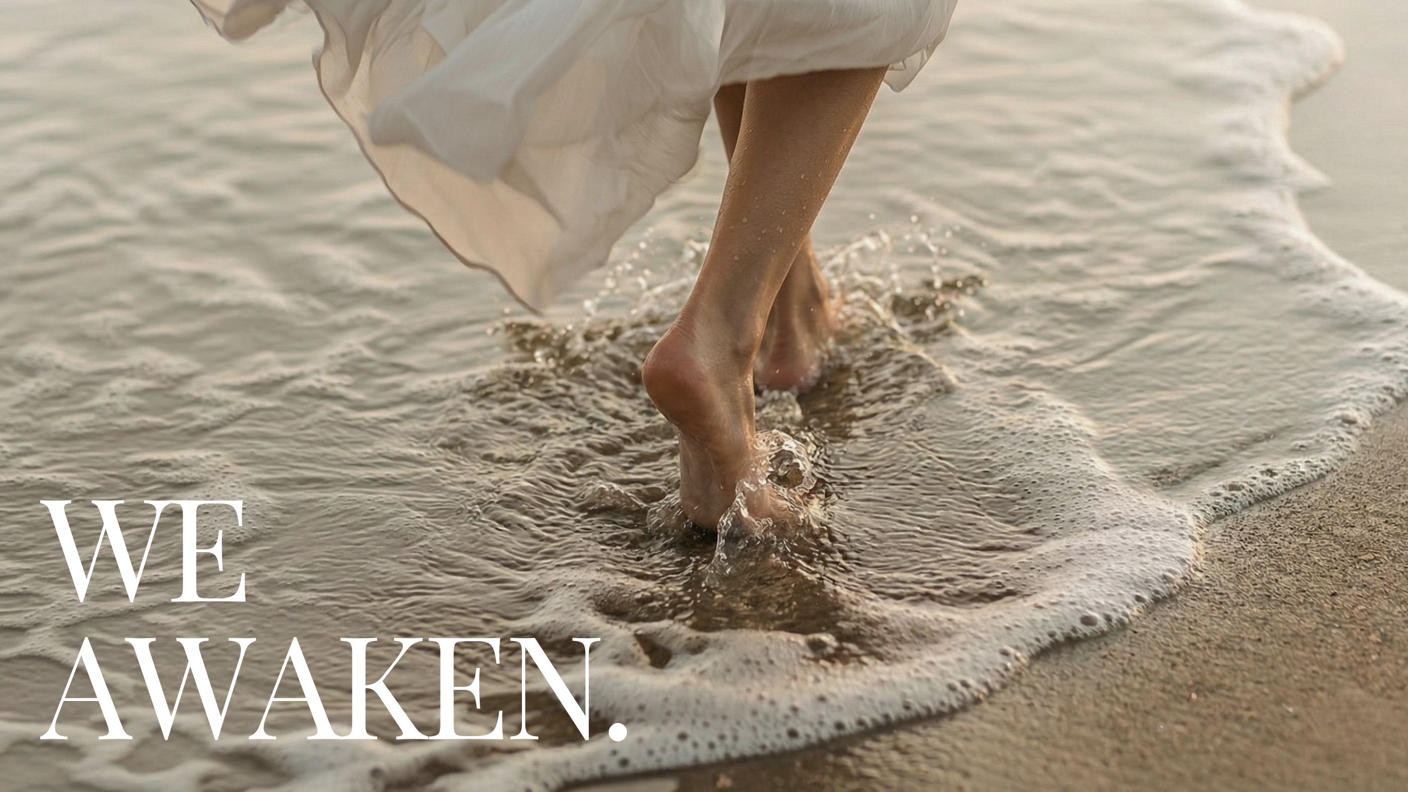 January 2026: We Awaken