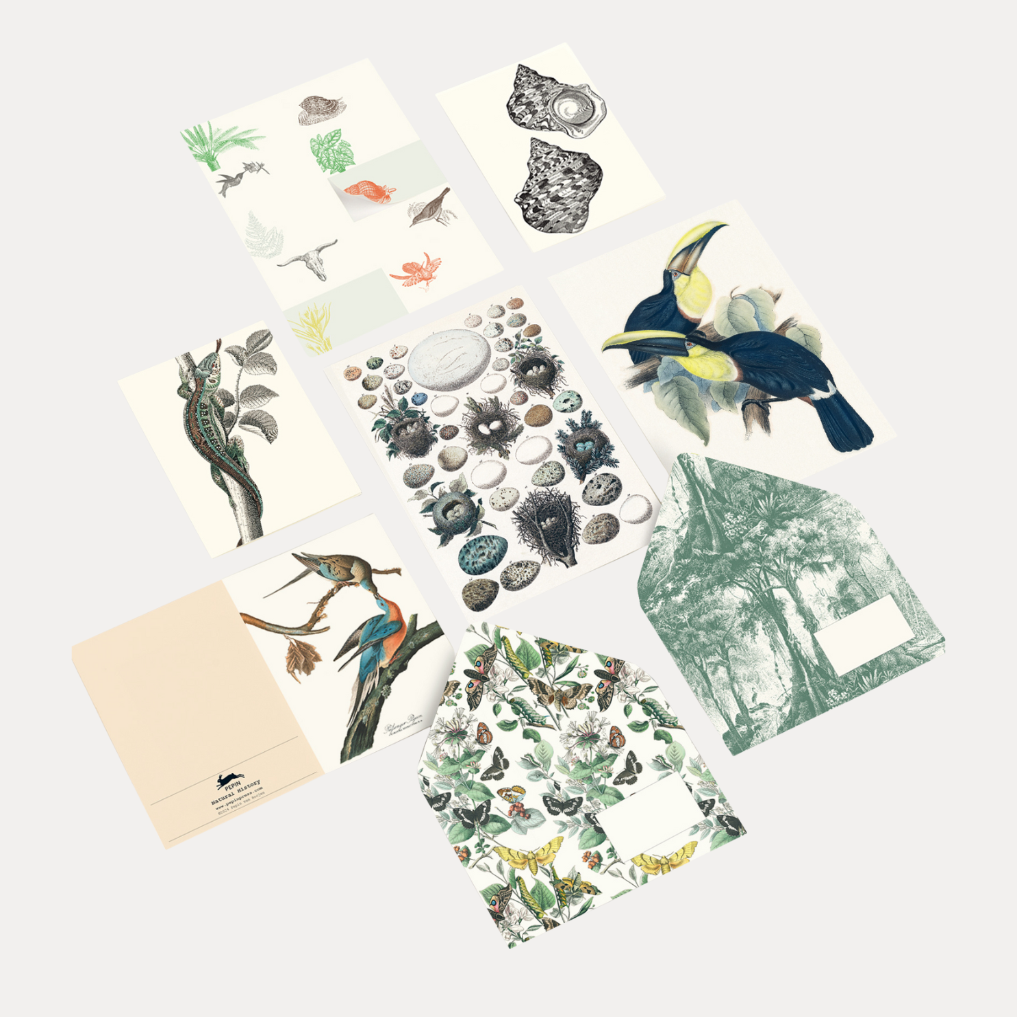The Pepin Press Correspondence Set - Natural History | Shop at BuDhaGirl