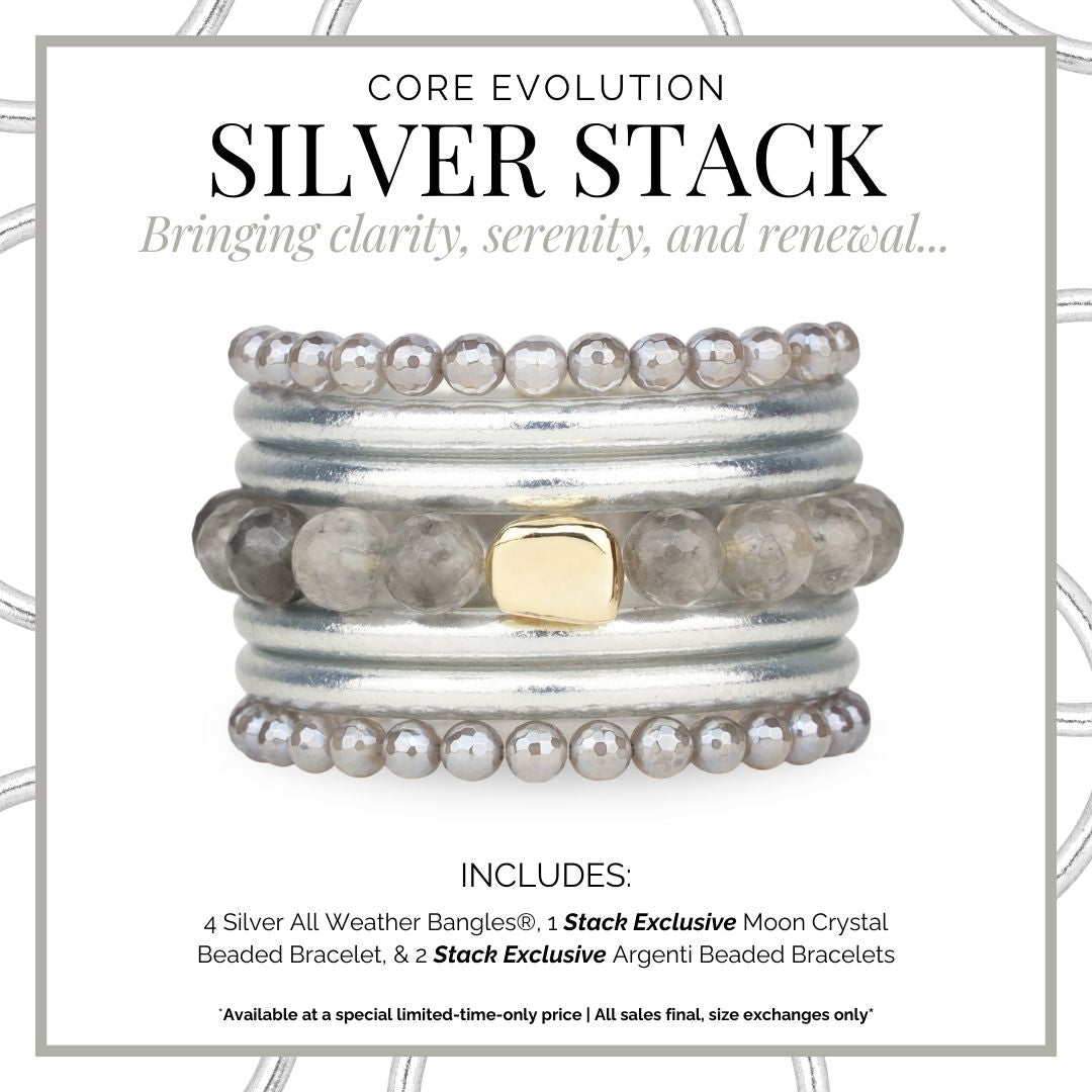 Evolution Stack of 4 - Silver | BuDhaGirl