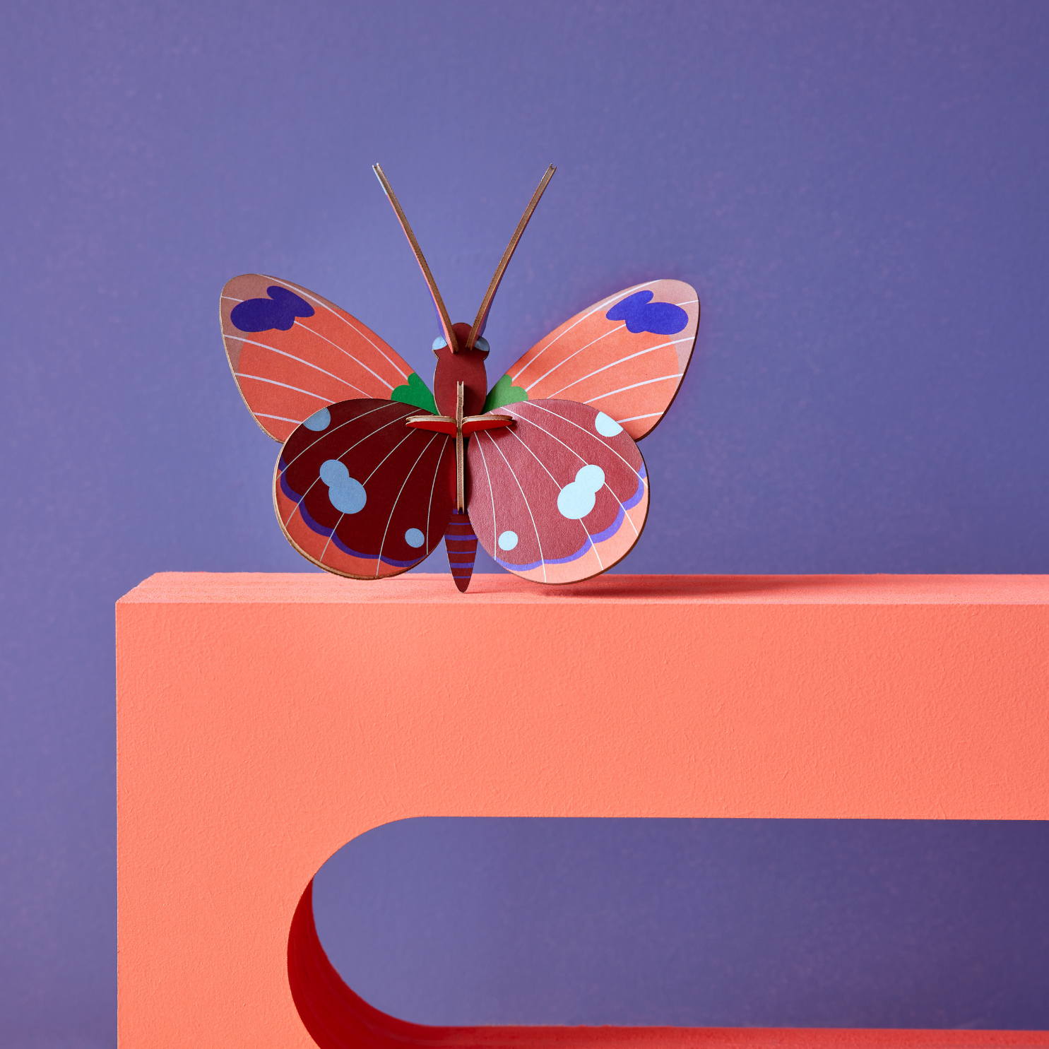 Delias Butterfly Wall Art | 3D Butterfly Decor | BuDhaGirl